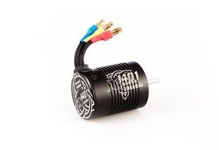 Двигатель бесколлекторный LC Racing - Tenshock 2938 4850kv вал 3.175 для 1/14 (LC-6149)